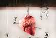 Anatomical Holiday Displays