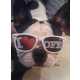 Eye-catching eyewear (GALLERY) 6