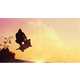 Dogboarding by Daniels Amazingly Merges Man's Best Friend and Boarding 7