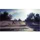 Dogboarding by Daniels Amazingly Merges Man's Best Friend and Boarding 8