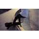 Dogboarding by Daniels Amazingly Merges Man's Best Friend and Boarding 9