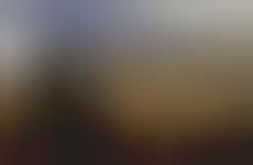 Real-Life Tweeting Birds