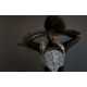 From Fiercely Fuzzy Photography to Eco-Friendly Disco B 1