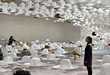 Flying Saucer-Like Exhibitions