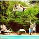 Create a Splash with These Quirky Leisure Diving Captures 5