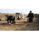 The Xbox 360 Kinect Helps Archaeologists Unearth Ancient Relics 1