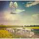 Fictional Photograph Illustrations - Johan Thörnqvist Combines the Surreal and Real in His Art (GALLERY) 1