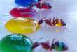 Kaleidoscopic Insect Critters