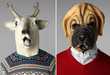 Faux Animal Facades