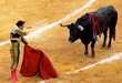 Matador Marauders