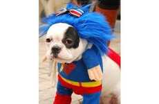44 Kooky Pet Costumes