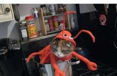 18 Feline Halloween Fashions