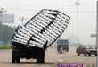 Hilarious Traffic Violations