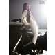 The Elle US December 2011 Issue Sports Sizzling Sleek Autos 4