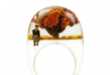 Tiny Creature Rings