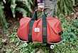 Skateboard-Strapping Carriers
