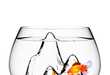 Magnificent Mountainous Aquariums