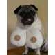 The 'BoobsRus Boob Scarf' Offers Toasty Ta-Tas for Frigid Temperatures 5