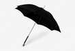Gothic-Inspired Parasols