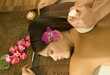Benefits of Thai Massage and Day Spa