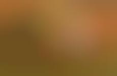 Convenient Cake Cases