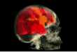 Scandelous Female Orgasm MRI