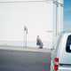 Johan Willner Photography is Simply Captivating 6