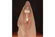 45 Wild and Weird Wedding-Ovations