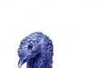 Animalistic Ink Drawings