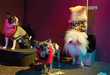 Pimped Out Pooch Shoots