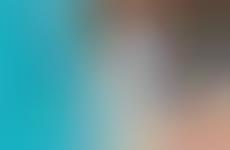Search Engine Shades 