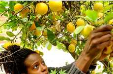30 Local Food Innovations