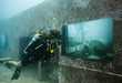 Underwater Art Galleries