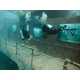 The Vandenberg: Life Below The Surface Exhibit is Completely Submerged