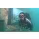 The Vandenberg: Life Below The Surface Exhibit is Completely Submerged