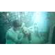 The Vandenberg: Life Below The Surface Exhibit is Completely Submerged