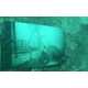 The Vandenberg: Life Below The Surface Exhibit is Completely Submerged