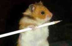 27 Hilarious Hamster Innovations