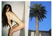 Organic Curve Nudeography