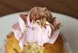 Creepy Critter Pastries