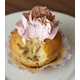Creepy Critter Pastries - The University of Wageningen Insect Cupcake Party is Seriously Gross (GALLERY) 1