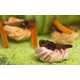 Creepy Critter Pastries - The University of Wageningen Insect Cupcake Party is Seriously Gross (GALLERY) 4