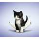 Funny Feline Fitness Moves - Cat Yoga by Daniel Borris Turns Cute Cats into Gym Rats (GALLERY) 4