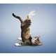 Funny Feline Fitness Moves - Cat Yoga by Daniel Borris Turns Cute Cats into Gym Rats (GALLERY) 6