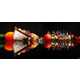 Enormous Glass Museums - The Dale Chihuly Glass Museum is the Largest in the World (VIDEO) 5