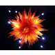 Enormous Glass Museums - The Dale Chihuly Glass Museum is the Largest in the World (VIDEO) 7