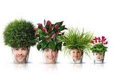 90 Peculiar Planters