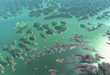 Thousand Artificial Islands 