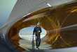 Water-Purifying Bridges