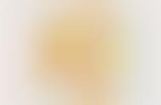Reactive Golden Sunglasses